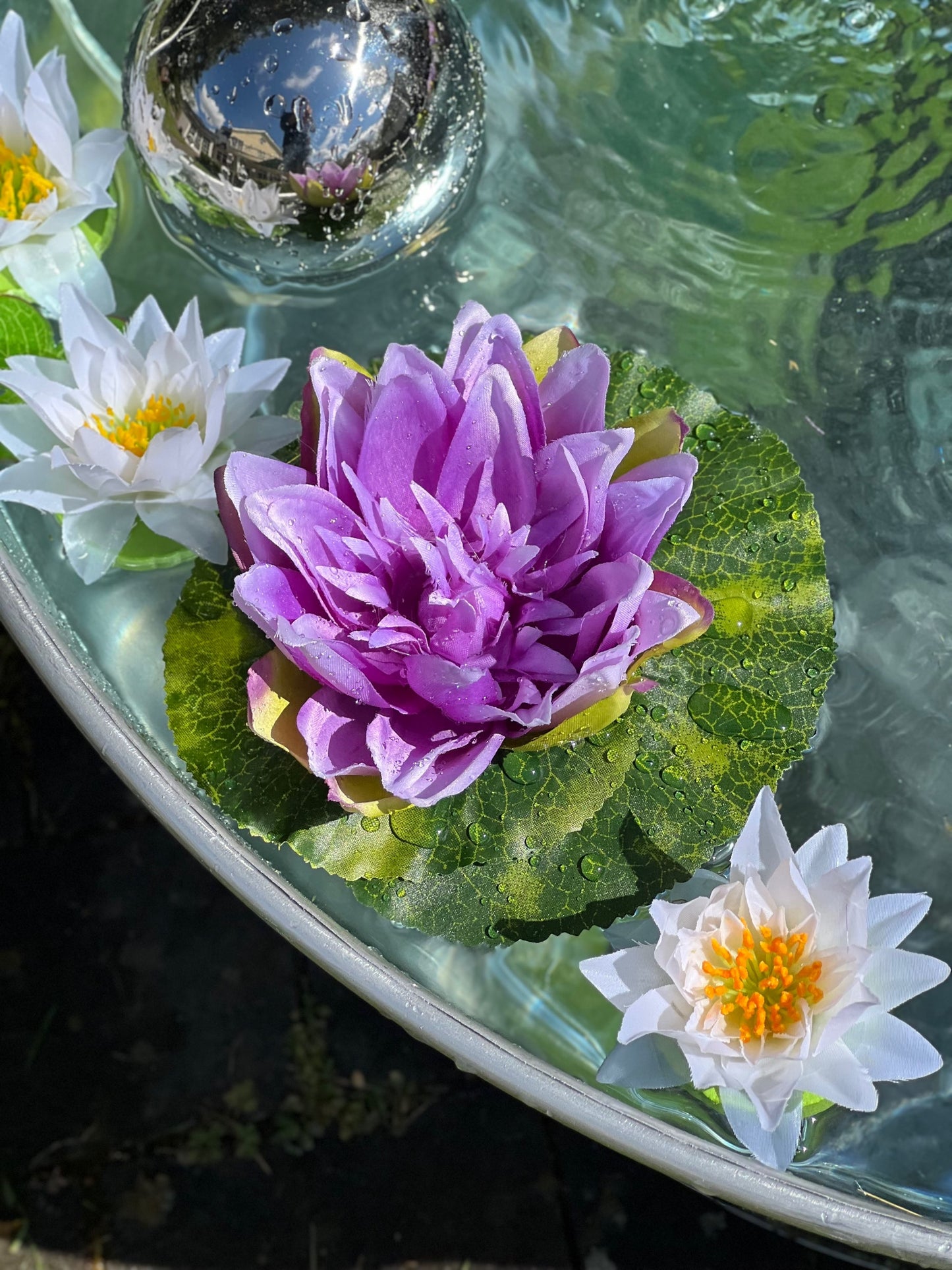 Seerose