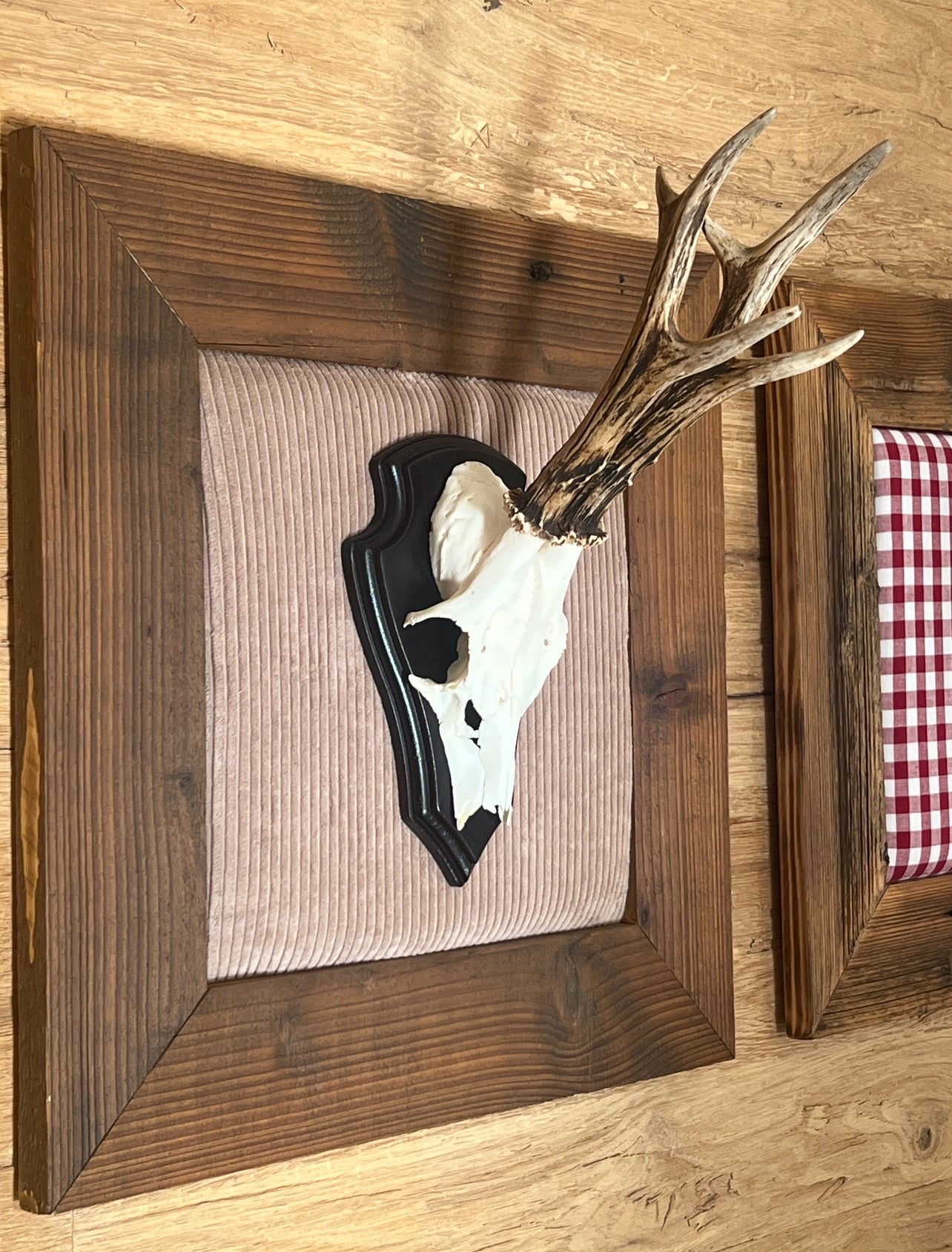 Geweihbild Cordhintergrund BEIGE