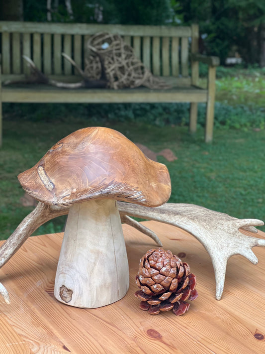 Pilz aus Massivholz