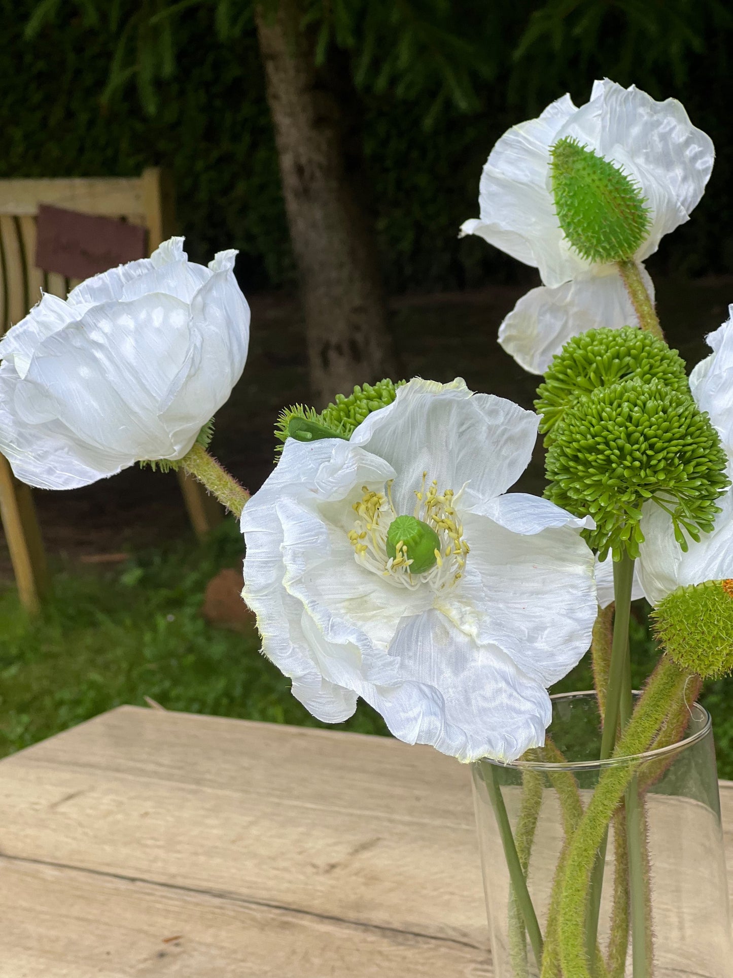 Mohnblume naturgetreu