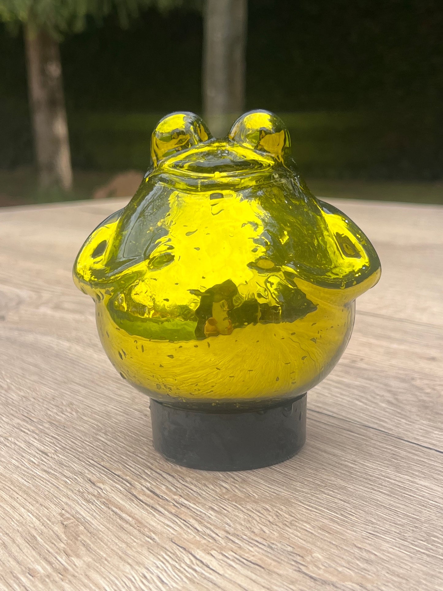 Frosch schwimmend