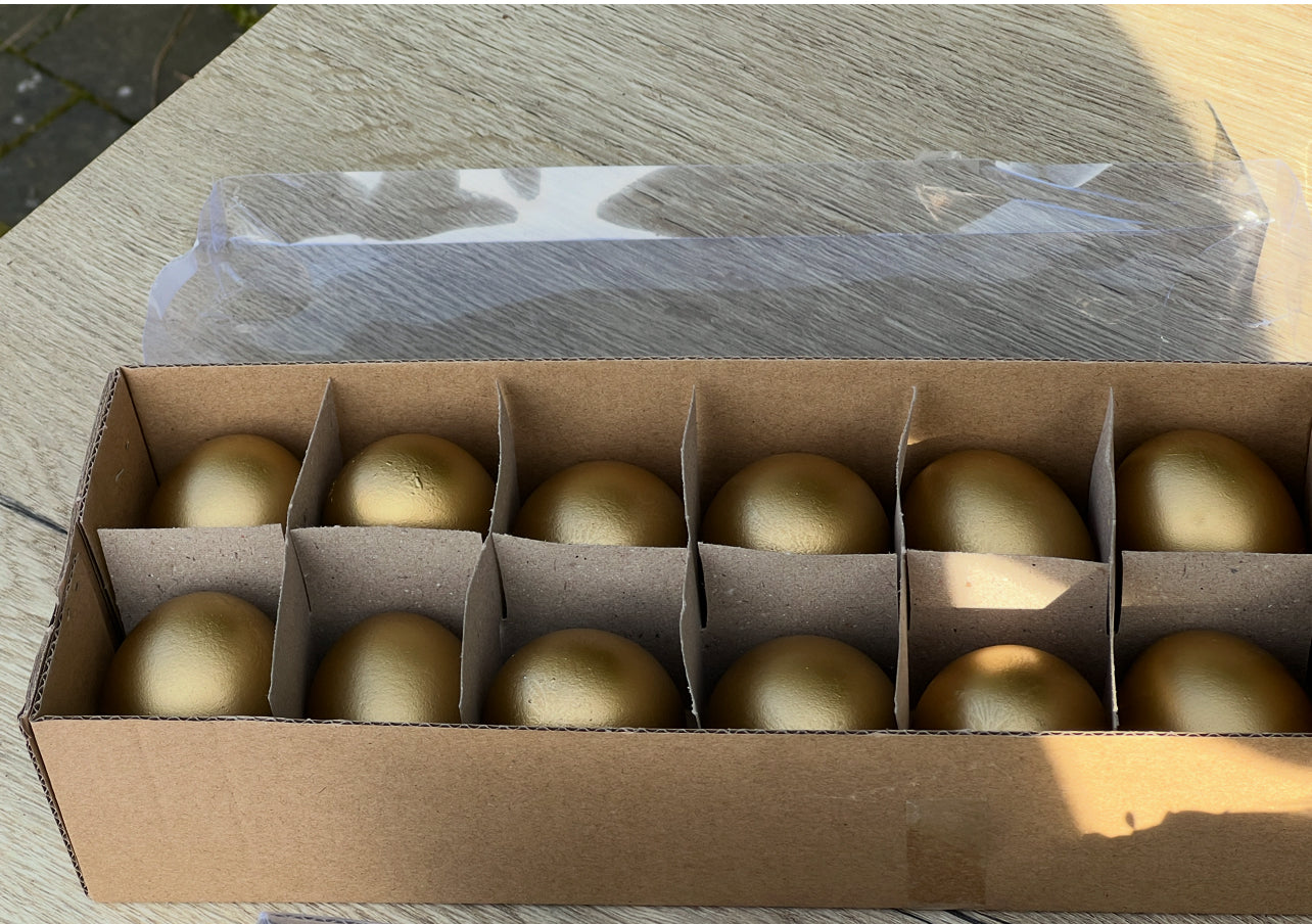 Eier im Karton Gold