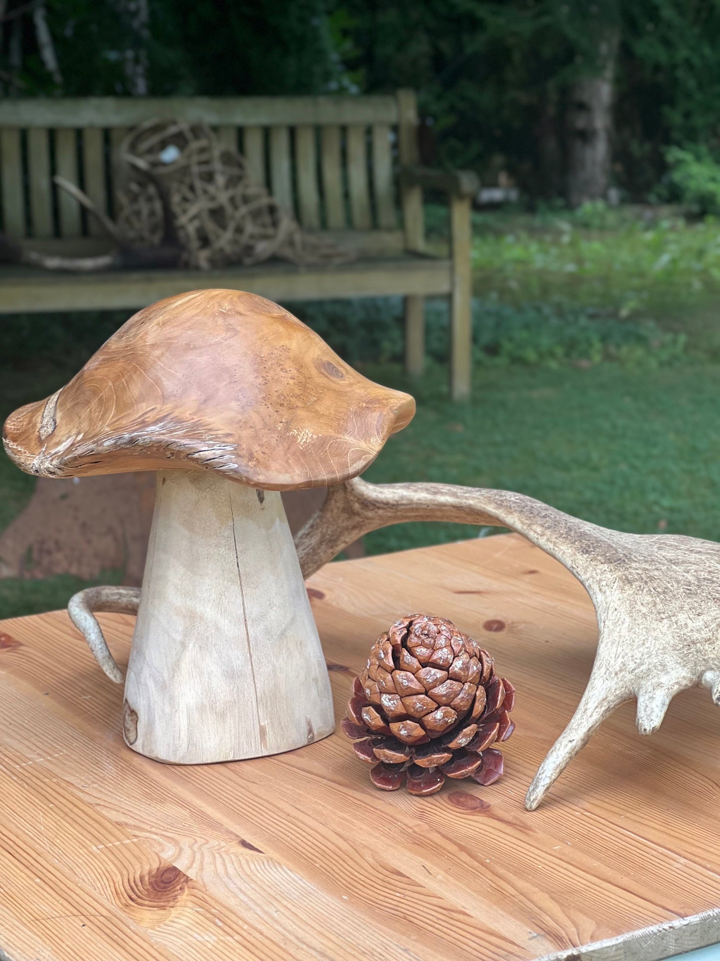Pilz aus Massivholz