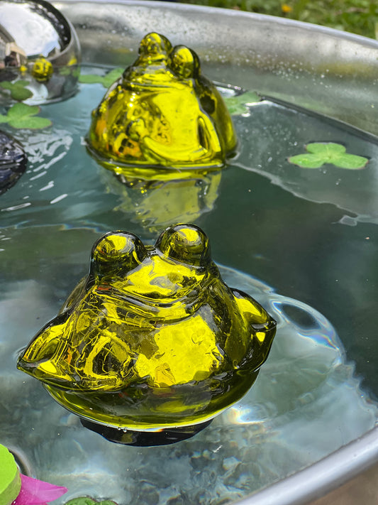 Frosch schwimmend