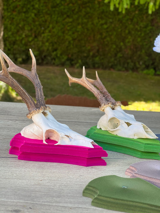 Rehbocktrophäe Holzbrett mit Beflockung in verschiedenen Farben