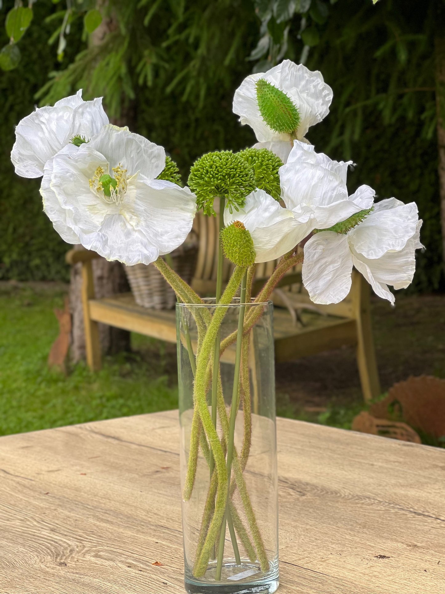 Mohnblume naturgetreu