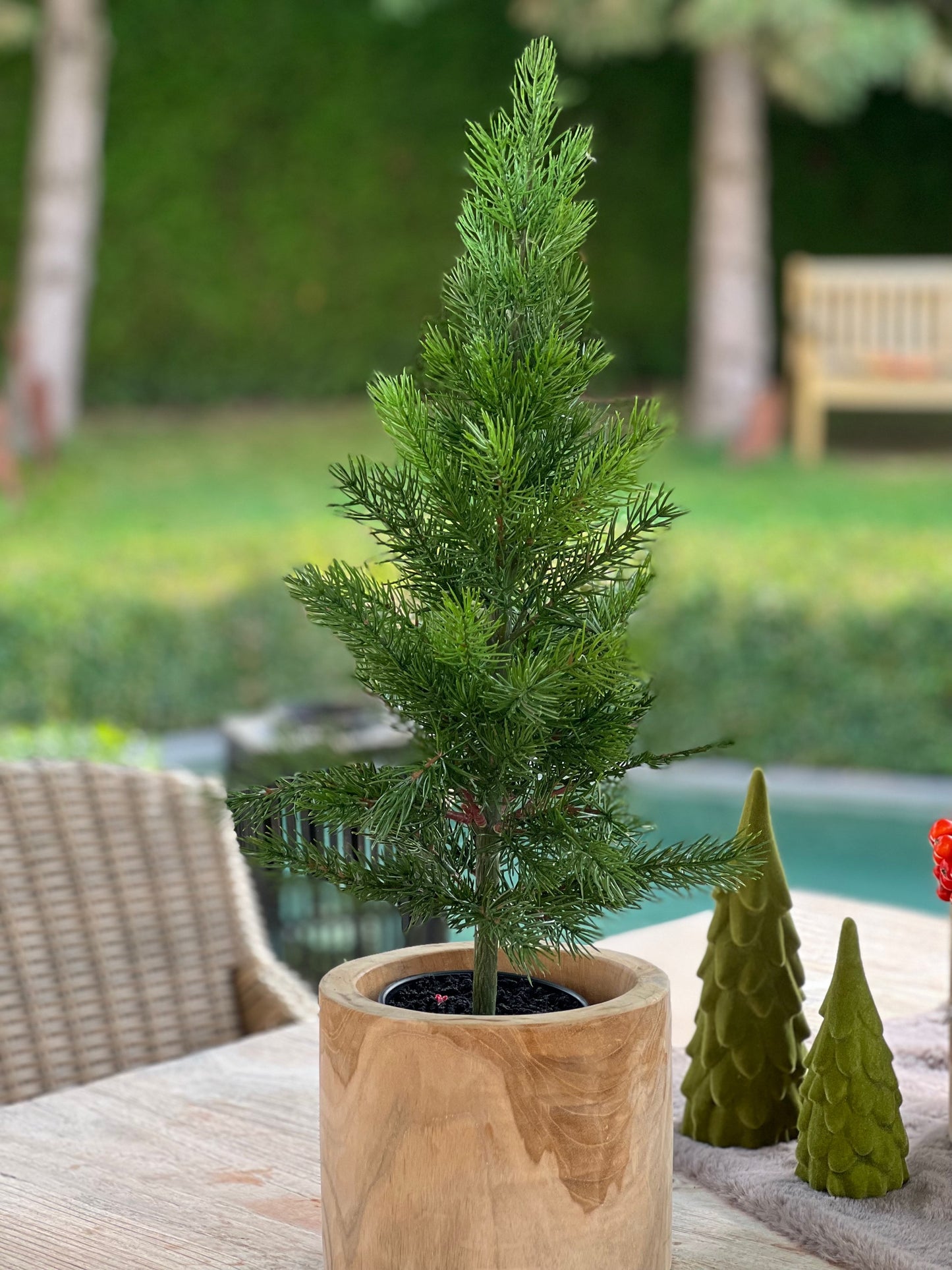 Tannenbaum