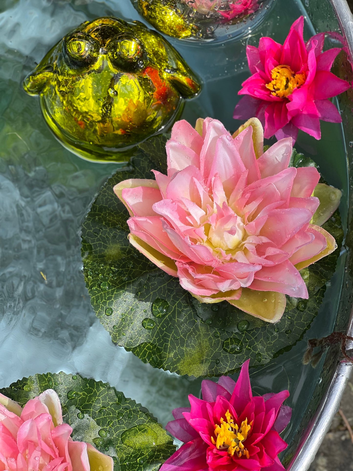 Seerose