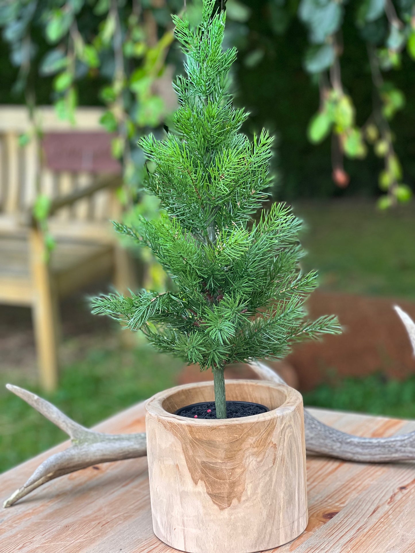 Tannenbaum