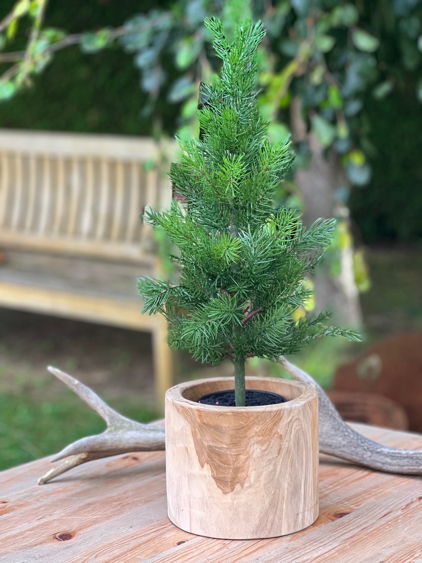 Tannenbaum