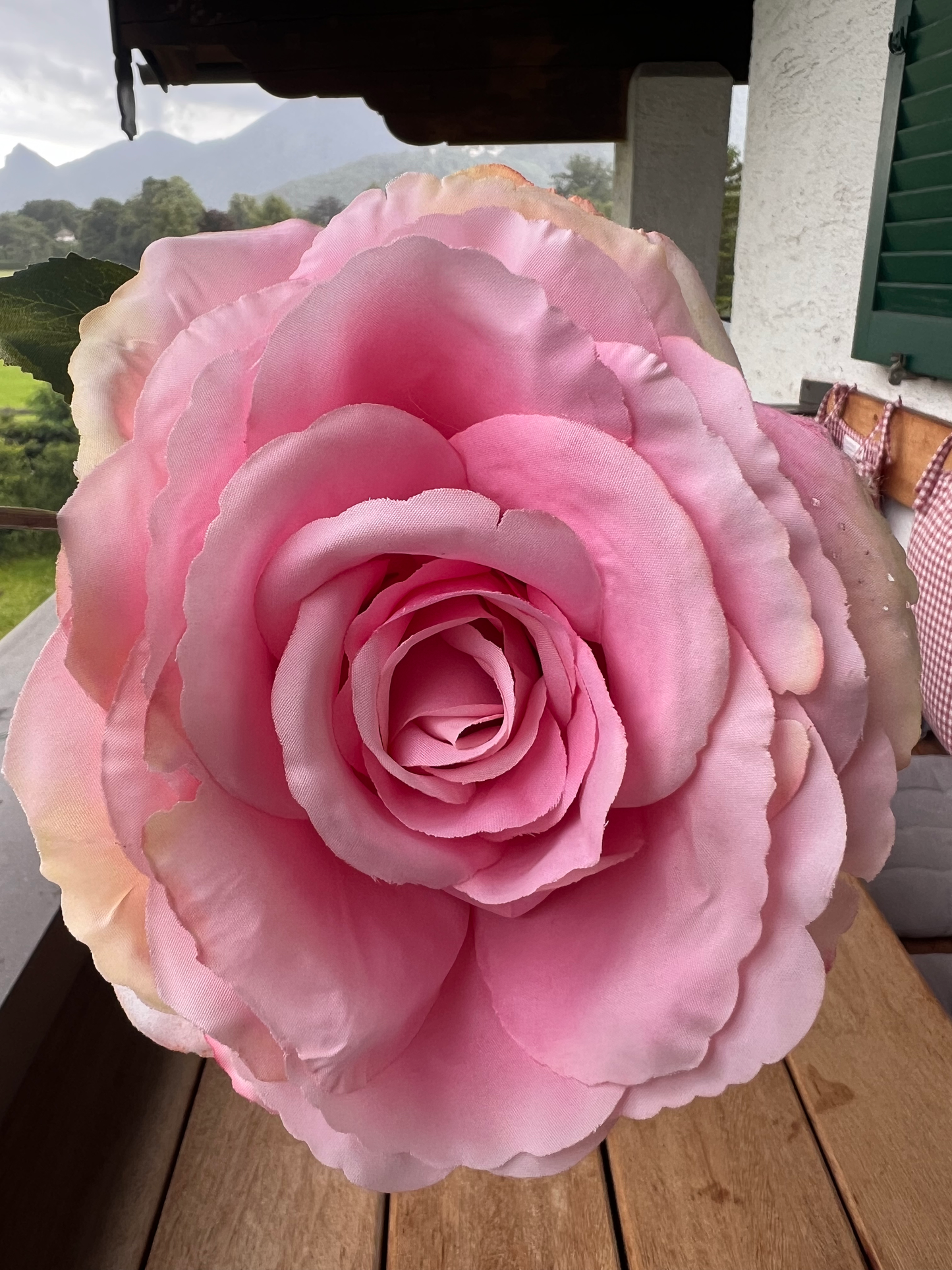 Rosenstiel mit einer Knospe