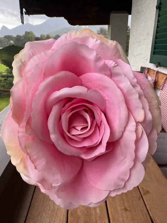 Rosenstiel mit einer Knospe