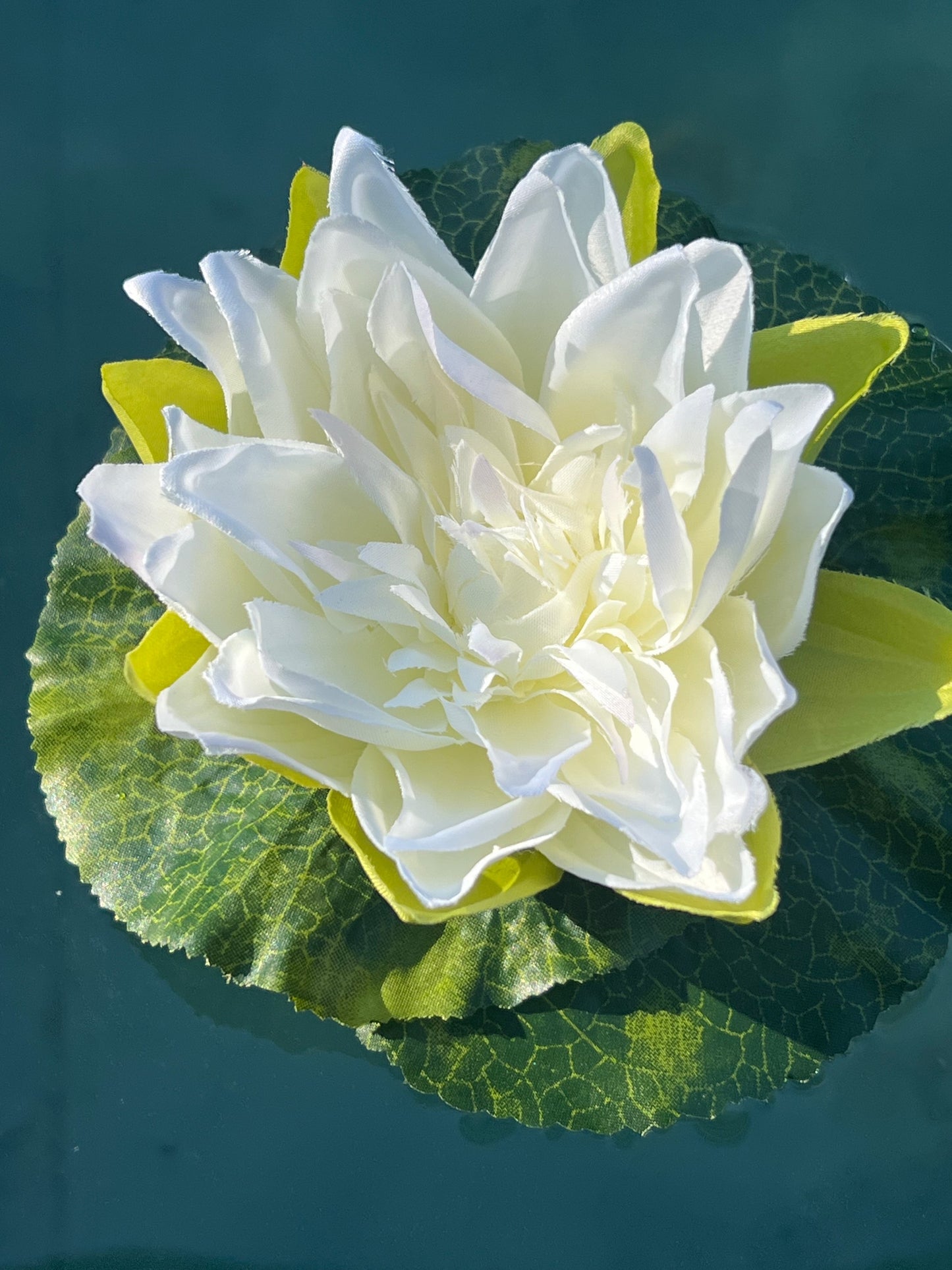 Seerose