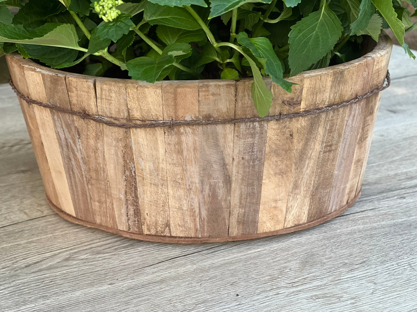Holzschalen rustikal