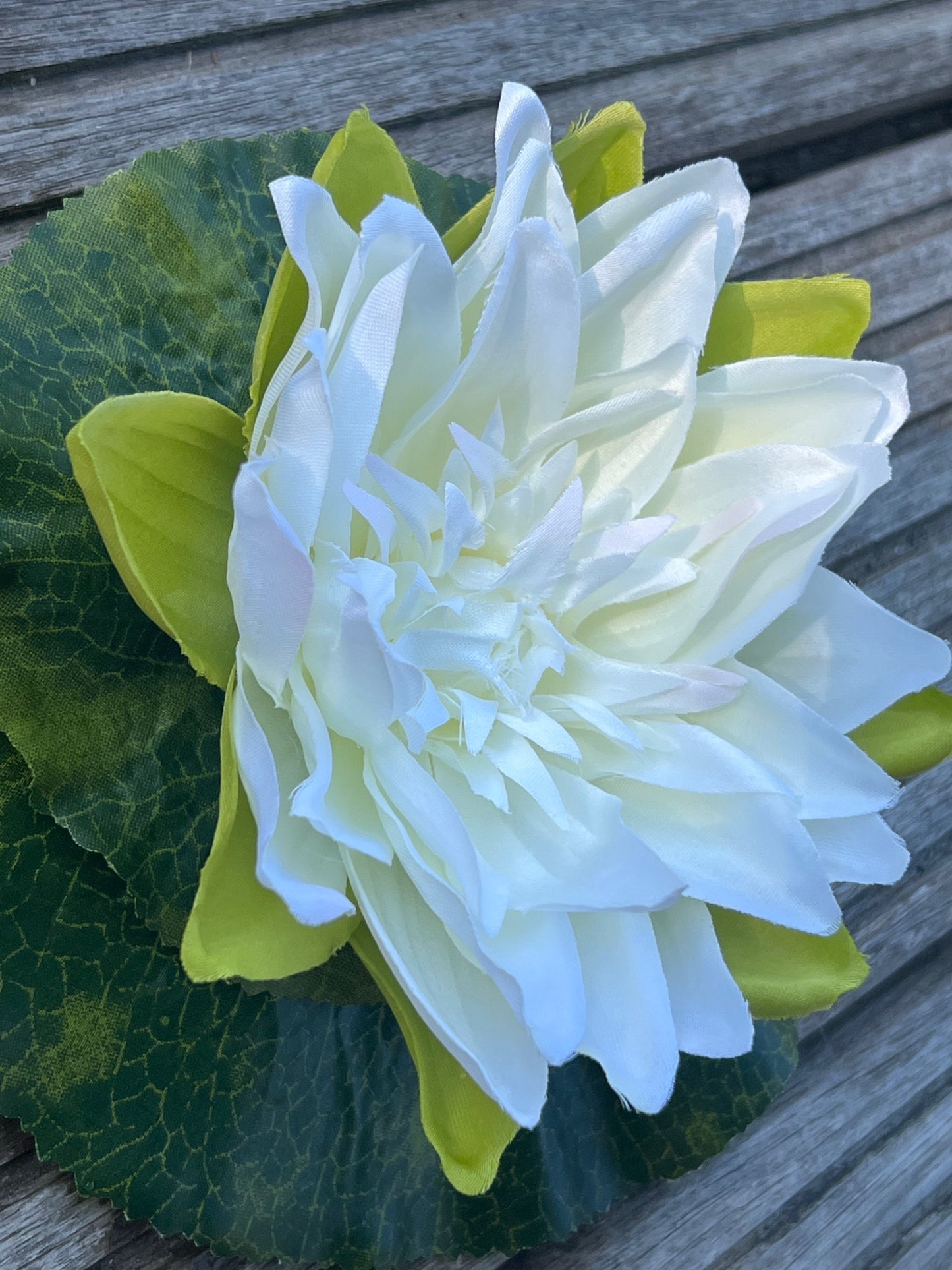 Seerose