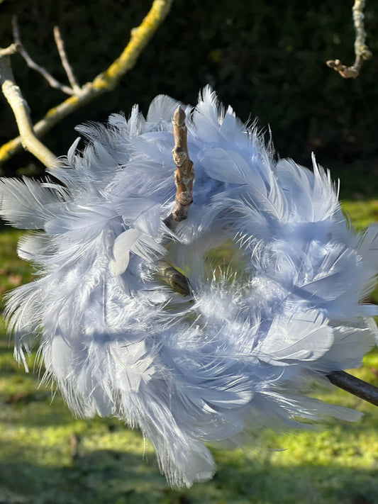 Federkränze in verschiedenen Farben