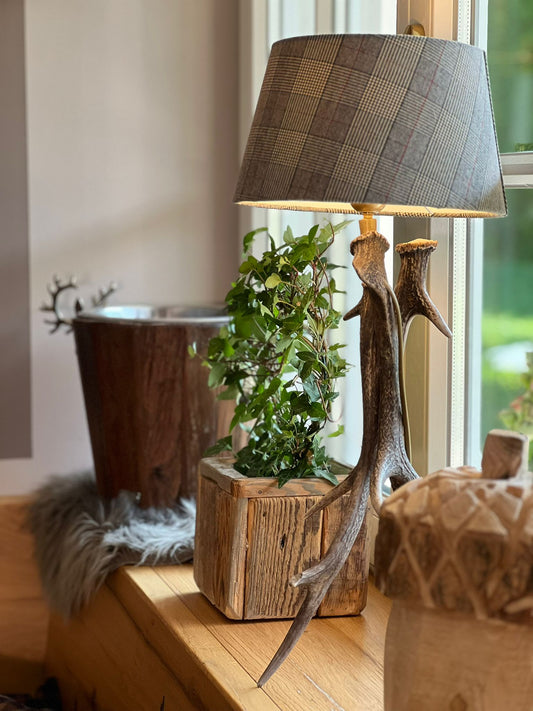 Tischlampe aus Geweihen