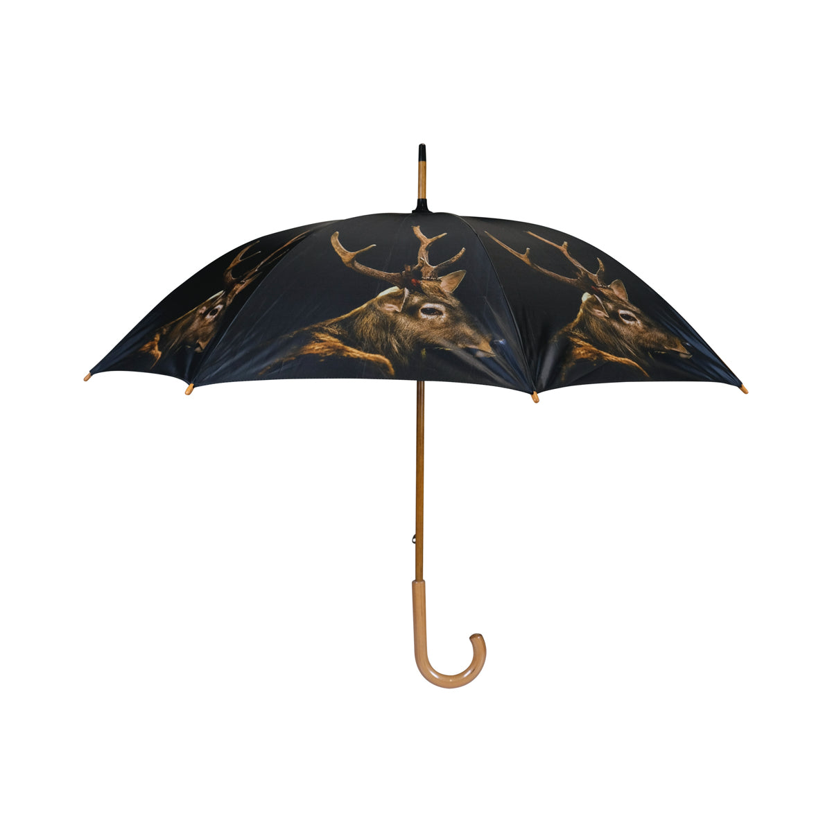 Regenschirm