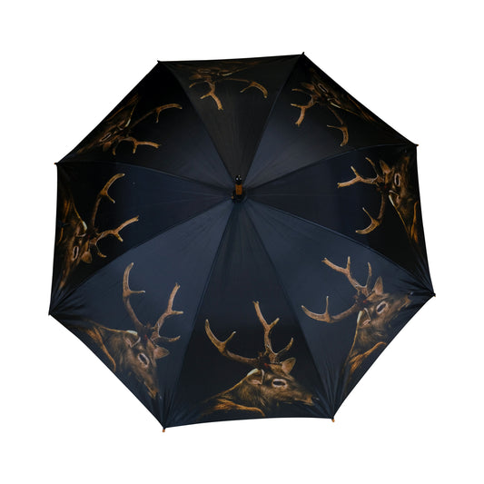 Regenschirm
